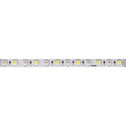 Bandă LED RGBW PROLED, 1230 lm/m, 2700K, 24V, IP20
