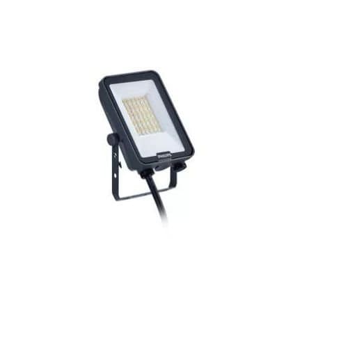 Proiector LED Philips pentru exterior, 20W, 2200/2400 lm