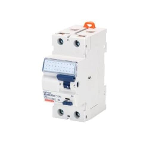 GWD4002 Întrerupător diferențial RCCB 2P 25A 4kV 30mA 2M