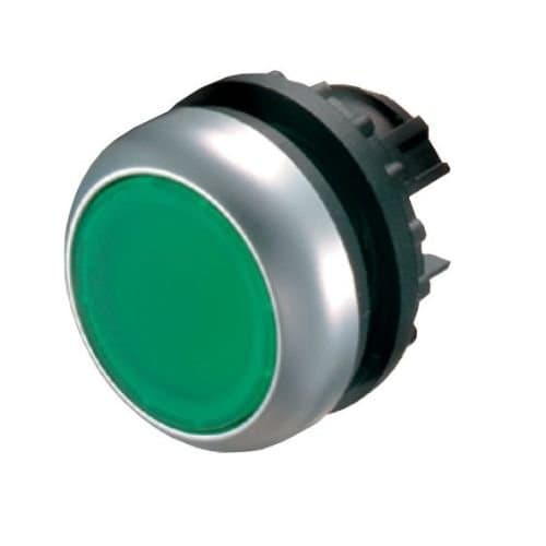 216619 M22-DR-G Buton comandă cu reținere Verde