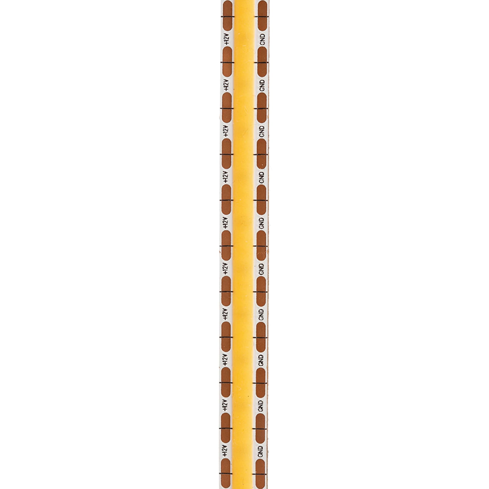 Bandă LED Rendl Orion 5 m, 12V, 50W, 3000K, 120°