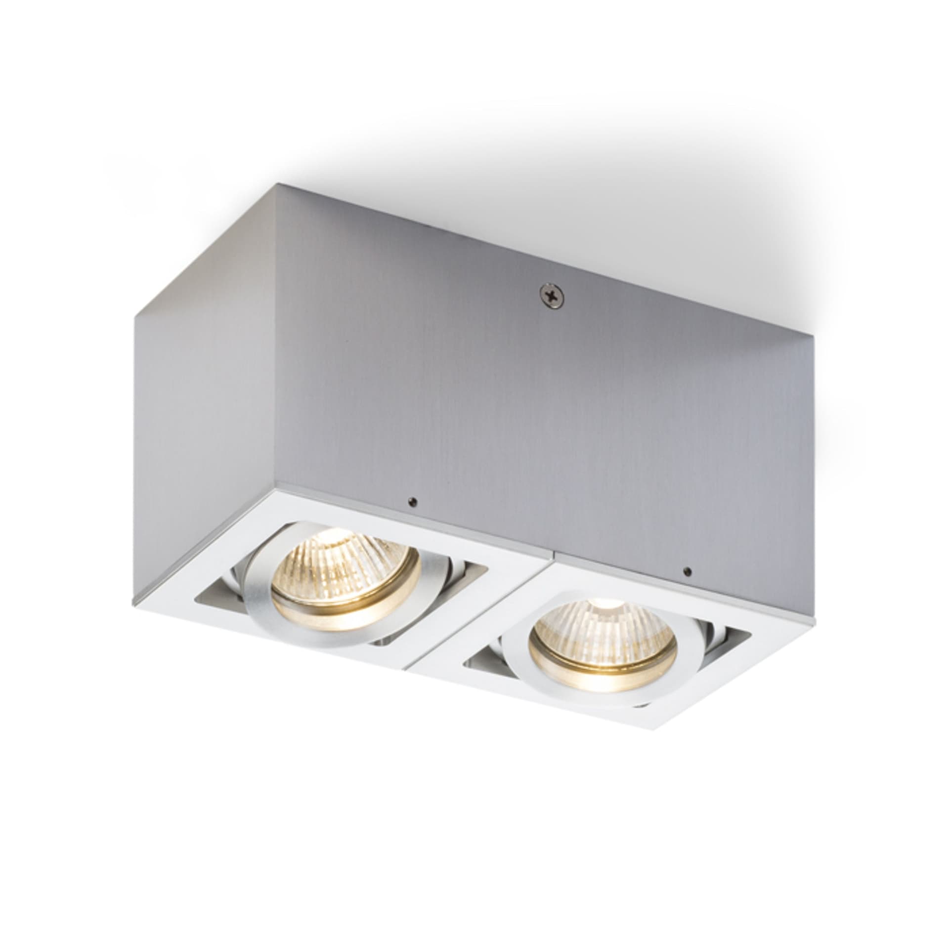 Corp de tavan Rendl Berit II, aluminiu, 230V, GU10, 2x50W