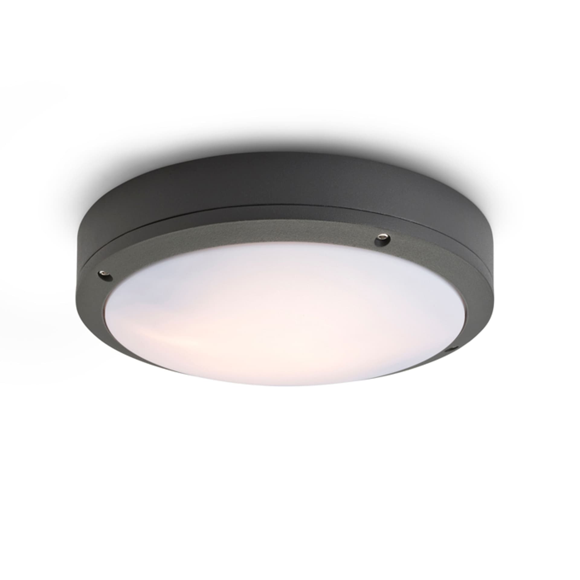Corp de tavan Rendl Sonny, antracit, 230V, LED, E27, 2x15W, IP54