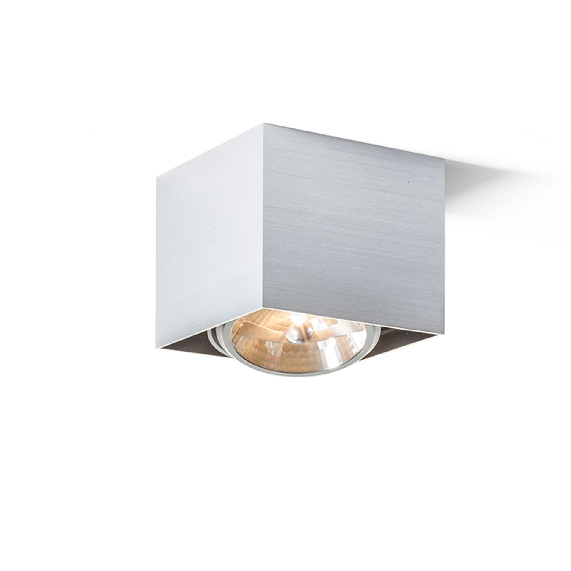 RENDL DEAN I, aluminiu, 230V/12V, G53, 50W