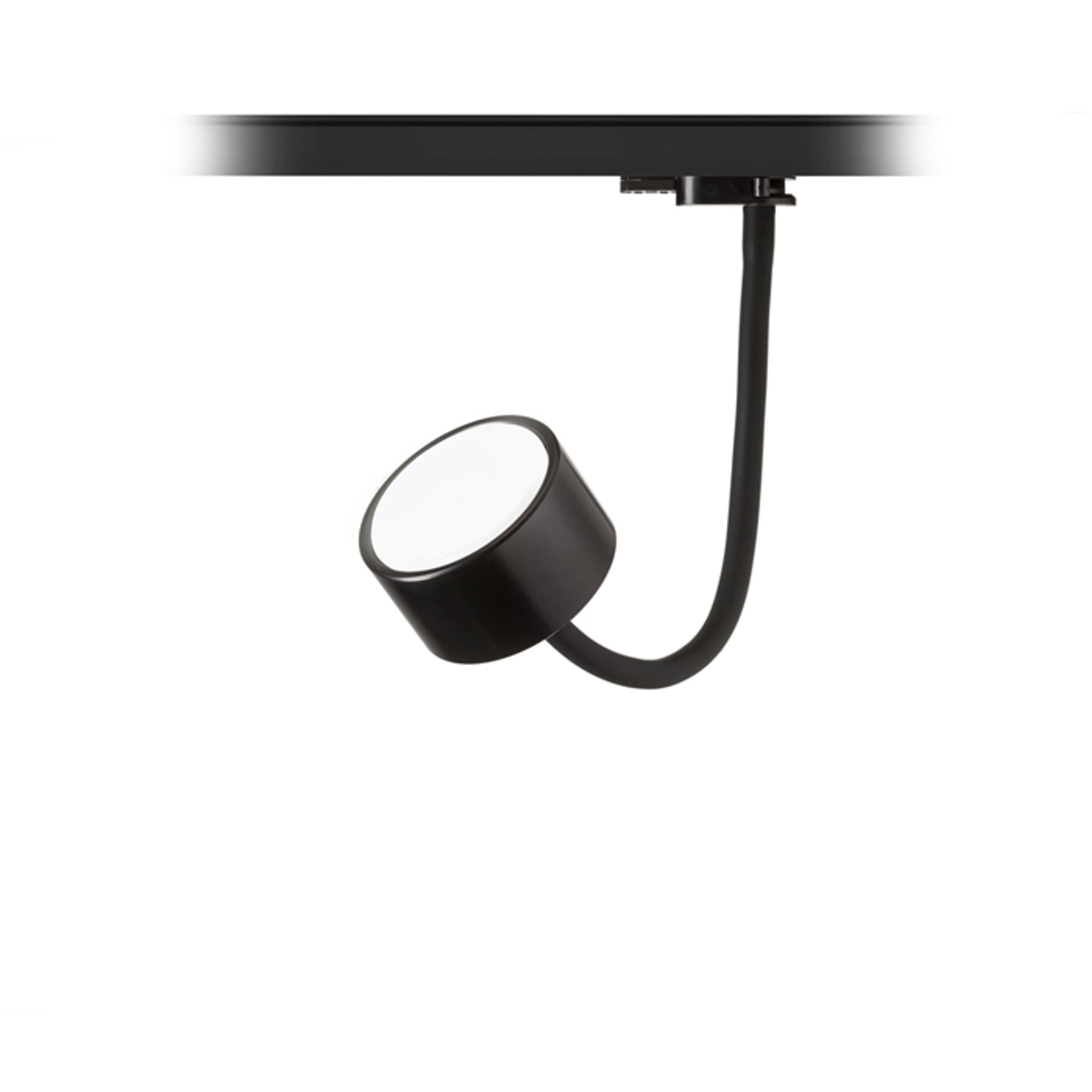 Proiector LED pe șină trifazată Rendl, negru, 7W