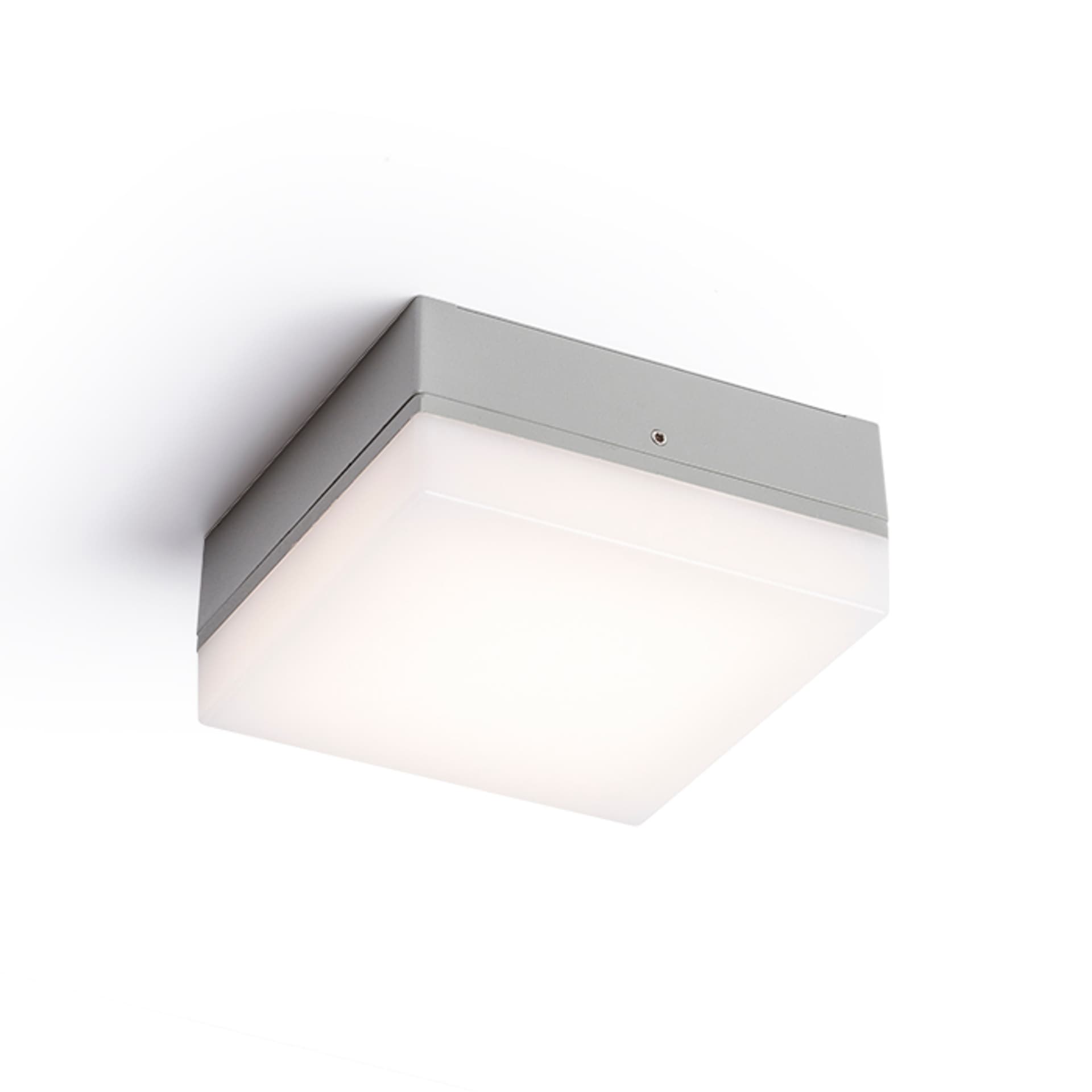 RENDL SPECTACLE aplică gri argintiu LED 5W 230V IP54 3000K