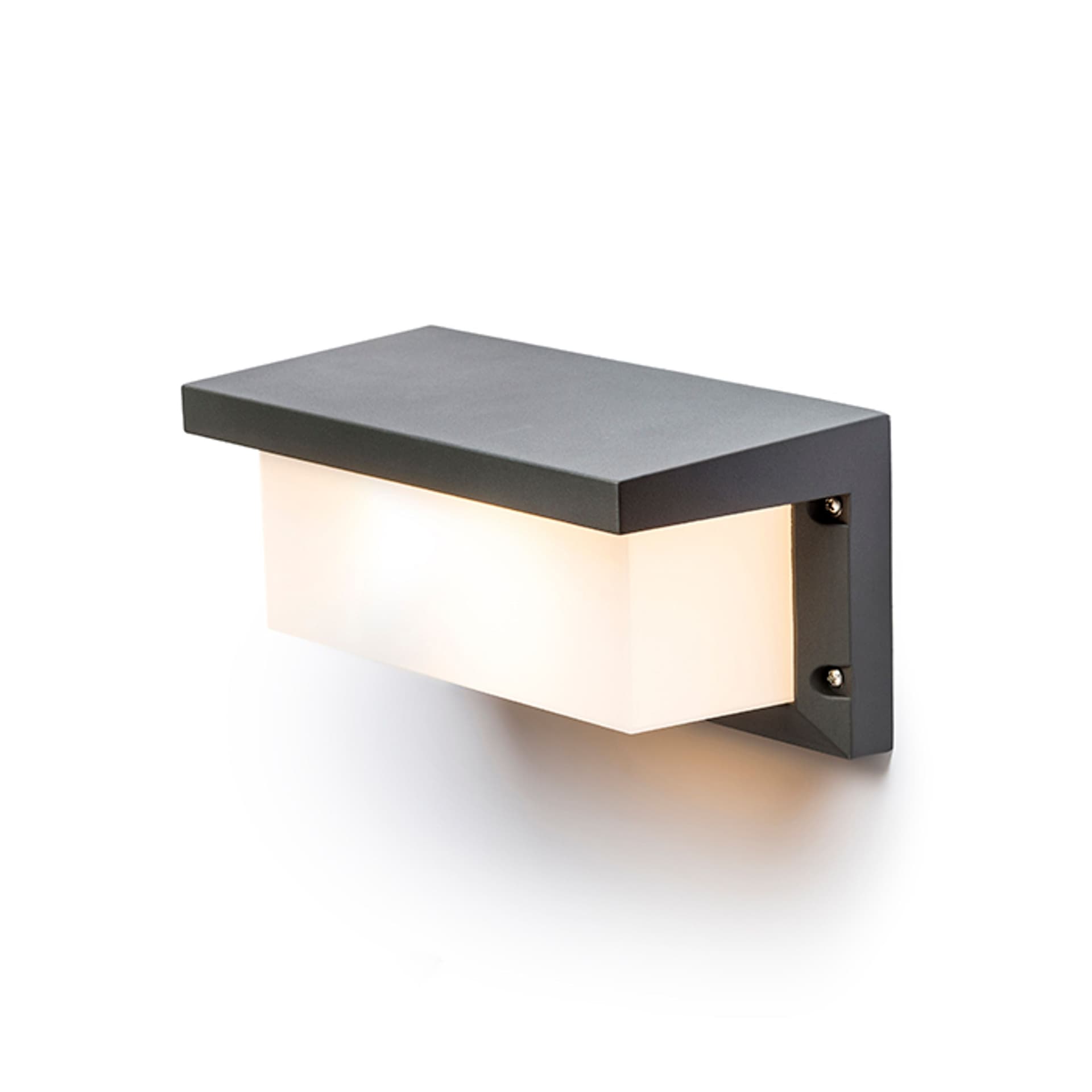 Aplică de perete Rendl Hide RC, antracit, 230V, LED, E27, 15W, IP54