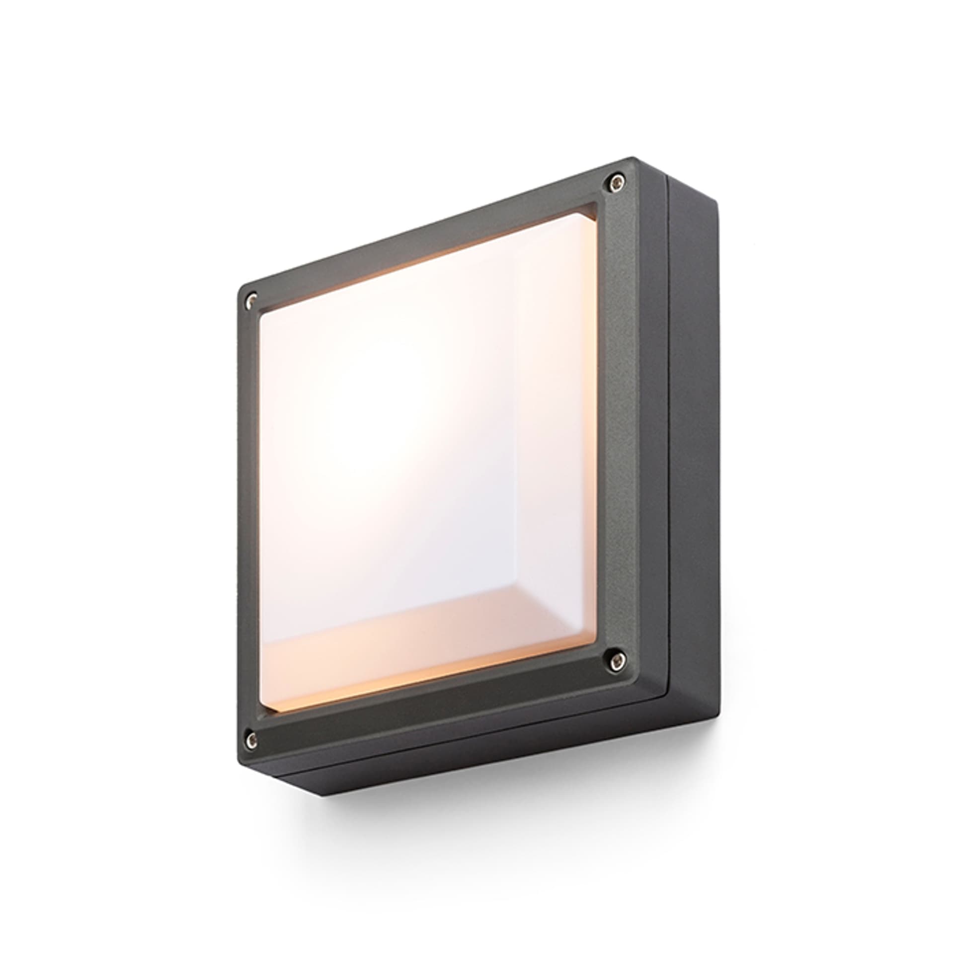 Rendl Delta 215 aplică pe suprafață antracit 230V LED E27 15W IP54