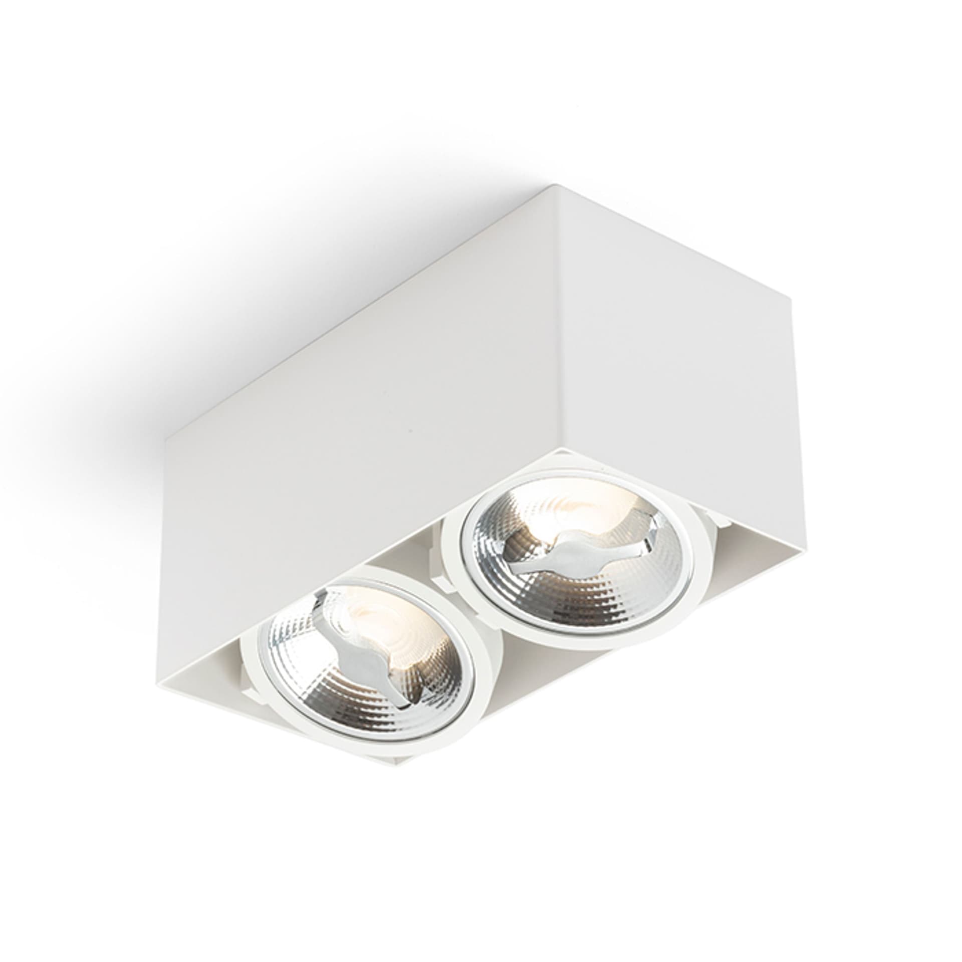 Spot de tavan Rendl alb mat, LED 3000K, 2x15W