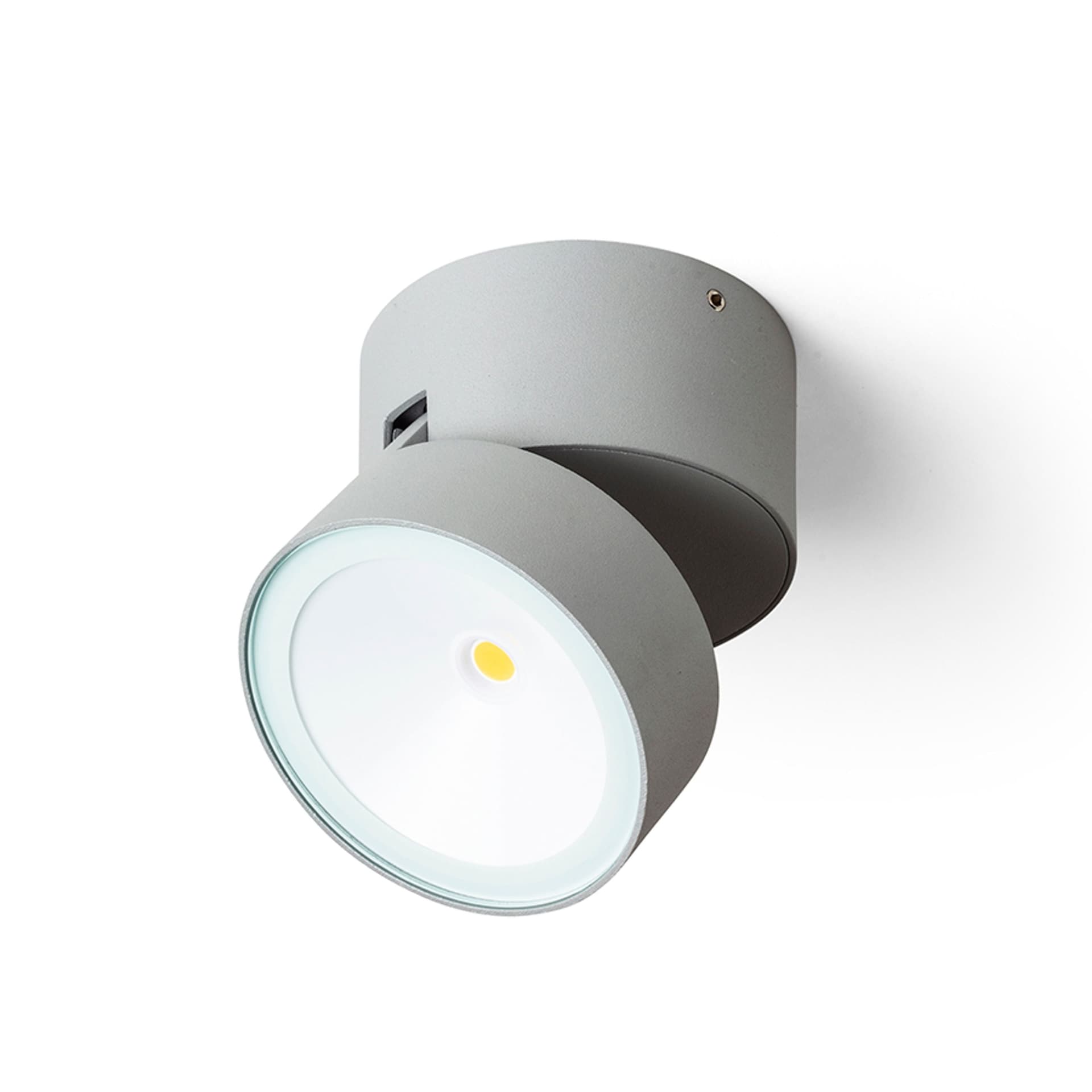 Rendl Flavio R aplicat gri deschis 230V LED 6W 110° IP54 3000K