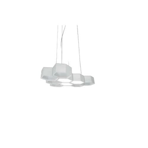 1D7001000002 HoneyComb D70C/1 1body & 3attachments WH