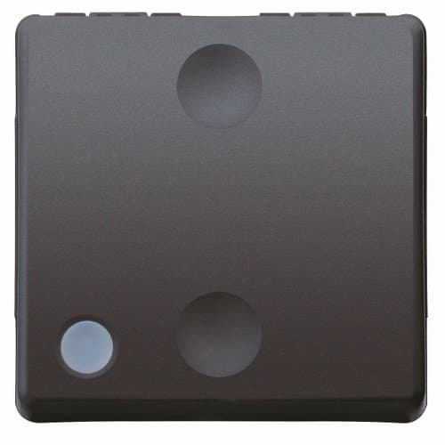 GW21527 Buton cu revenire ilum 1P NO 10A 2 m SY/BK